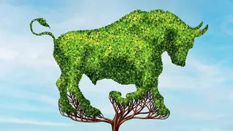 Equity funds beat FDs for long-term growth