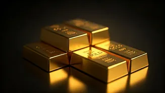 MCX Shares Surge: A Deep Dive into the Rally