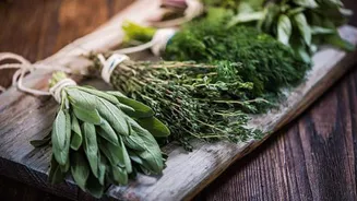 Upgrade your cooking with these Indian herbs