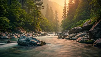 Riverside Mornings In Tirthan Look Unreal