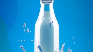 The Modern Indian Dairy Shelf Is Becoming More Protein And Wellness Focused