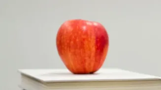 $100,000 OPT Proposal: The Difference Between F-1 Education and OPT Employment