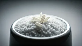 Unlock Clump-Free Salt: The Ancient Rice Hack for Perfectly Free-Flowing Spices!