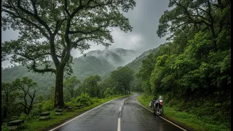 Monsoon Escapes In Western Ghats Need Smart Planning
