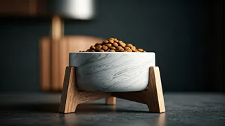 Pet Food Bowls Are Getting A Premium Glow-Up