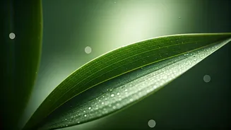 Niacinamide: The Multitasking Skincare Marvel for Radiant, Healthy Skin