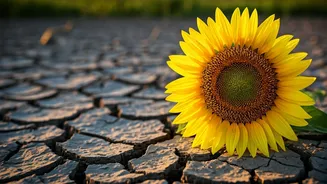 Breakup Recovery: How to Find Happiness After a Split