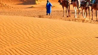 Experience-Led Tourism Reflects Changing Lifestyle Priorities