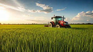 Boosting Indian Farming: FM Sitharaman's Budget Plan