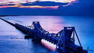 IRCTC's Safari Tours Connect Major Maharashtra Reserves by Train and Road