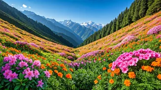 Bloom Season Is Putting Uttarakhand Back In Chats