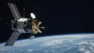 Understanding IMAP's Role in Space-Weather Alerts with IMAP's Near-Real-Time Solar-Wind Data