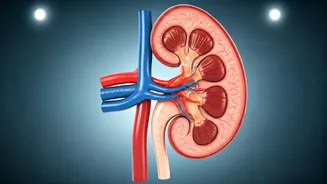 Watch for These Early Kidney Problem Signs