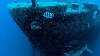 Turkey Discovery May Be the Oldest Known Shipwreck