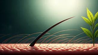 Monsoon Humidity Exploded Daily Hair Shedding Statistics For Youth
