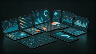 Navigating the Indian Market: Investment Insights & Strategies