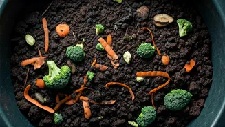 Vegetable Scraps Turn Into Soil With Patience