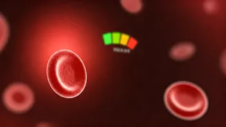 Decoding Your HbA1c: Understanding Blood Sugar Ranges and What They Mean