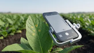 AI Crop Disease Hacks: Low-Cost Smartphone Sensors Save Harvests For Maharashtra Farmers