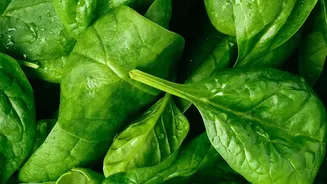 Leafy Vegetables Demand Extra Washing When Fields and Markets Stay Wet