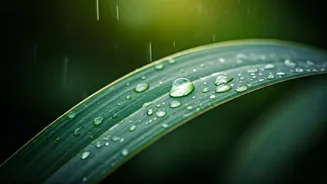 Give Your Skin A Rainy Season Reset