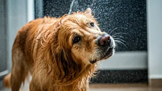 Wet Walks Need Dry Towels And Discipline