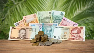 Kerala Tourism Offers Options for Every Budget