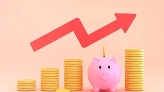 How Freelancers Can Optimize 3 Months Of Buffer Funds Using Liquid Account Features