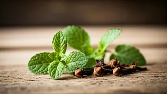 Keeping Mice Away: 6 Natural Home Remedies