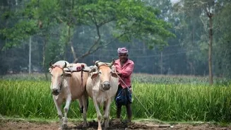 Tamil Nadu launches 'Uzhavar' AI scheme, 2Cr to aid farmers
