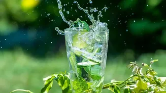 Natural Body Detox Solutions Infuse Water With Cucumber Mint And Lemon For Hydration