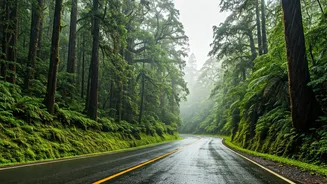 Budget Weekend Road Trips Rule Lush Rain Slicked Ghats