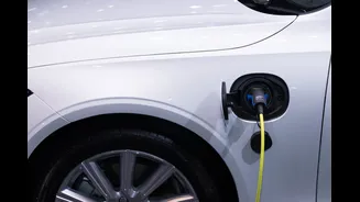 Tata Motors Leads India's EV Market with 82% Growth in July 2026