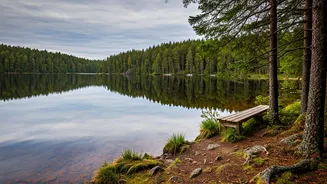 Experience Finnish Bliss: Apply for a Free 7-Day Happiness Retreat in the World's Happiest Nation!