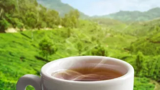 Why Artisanal Tea Makers Use Nilgiri Leaves To Create Refreshing Low Sugar Drinks