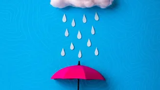 Rainy-Season Kitchen Guide: How To Protect Food From Moisture