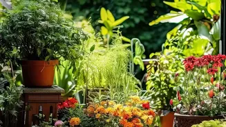 Fresh Interest in Seasonal Home Gardening Gives Indian Gardeners a Reason to Review Zaid Timing