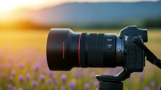 Exploring the Essence of Photography: A Visual Journey