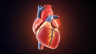 Weekly Health: Tips & Zodiac Insights for Nov 17-23!