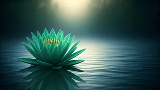 Related Stories banner