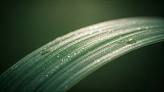Acne And Skin Infections Spike During Humid Weather