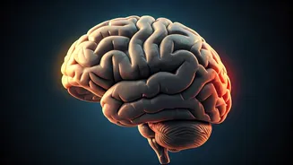 Unmasking True Personalities: 4 Subtle Cues from a Psychologist