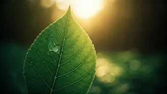 Learning About Nature Is Leaving The Classroom