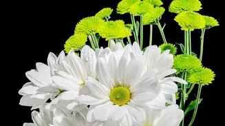 Rising Flower Costs Make Simple Pookalams More Appealing This Onam