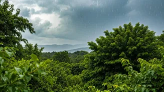 Post-Monsoon Rains: State's Shifting Weather Patterns