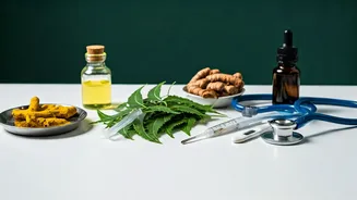 How Holistic Health Paradigms Rebranded Modern Indian Animal Care Industry