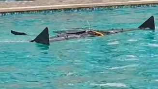 Meet Avataar, India's 1st amphibious drone that can dive underwater