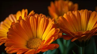 Why Native Marigold Arrangements Are This Week's Obsession