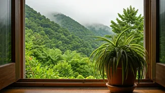 Cool Getaways Feel Like Relief, Not Indulgence