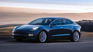 The Gurugram Clip Does Not by Itself Prove Tesla AI Failed